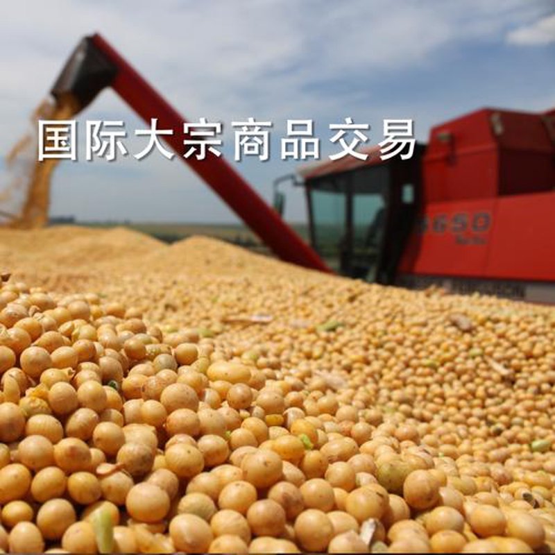大宗商品购销